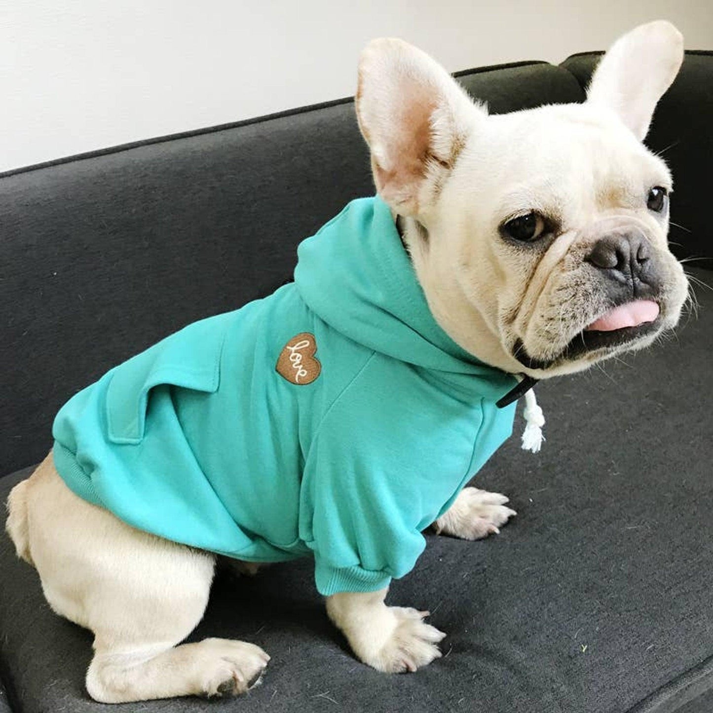 Cozy Matching Love Print Hoodie Set for Pet and Owner-2